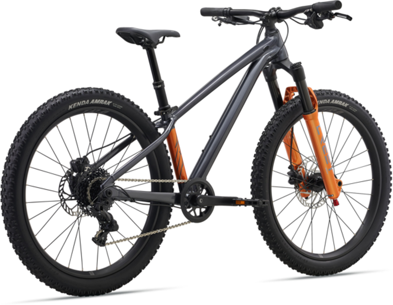 Giant STP 24 Mountain Bike in Black Chrome-1