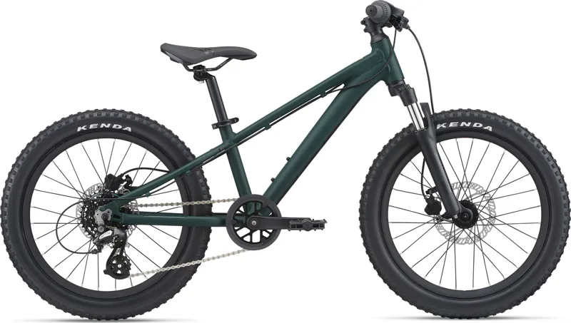 Giant 21 inch mountain bike best sale