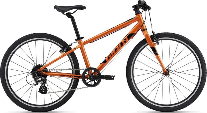 Giant ARX 24 Inch Wheeled Kid's Bike in Orange