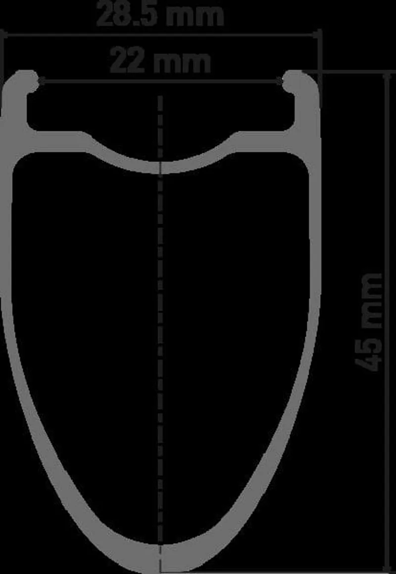 DT Swiss ERC 1100 Dicut Carbon Disc Brake Wheelset -3